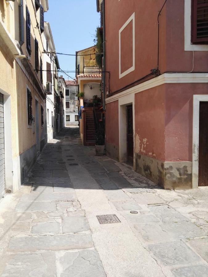 Neda * Izola